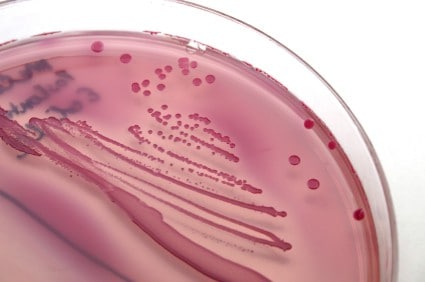 Staphylococcus aureus decolonization in patients on home parenteral ...